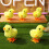 12 Giochi A Carica Saltano E Camminano Peluche 11