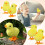 12 Giochi A Carica Saltano E Camminano Peluche 10