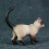 Siamese In Per Bambini 6