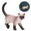 Siamese In Per Bambini 11