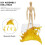 Set Trasparente Per Action Figure E Modellini 10