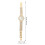 Fashionable Vrouwen Met 6