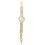 Fashionable Vrouwen Met 3