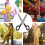 Giant Plastic Clown : Extra Grote Valse Voor Cosplay 10