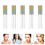 5 Kleine Draagbare Lippenstift Opbergcontainers Buizen 4