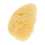 Sponge De Artista Para E Pintura Infantil 1