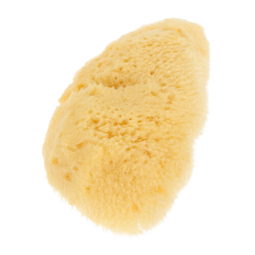 Sponge De Artista Para E Pintura Infantil