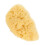 Sponge De Artista Para E Pintura Infantil 9