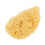 Sponge De Artista Para E Pintura Infantil 7