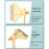 Multifunctional Deshedding Comb Including Skin Safe Materials 4