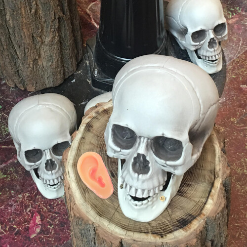 10Pcs Realistic Fake Ear Model Simulation For Halloween Prank 2