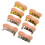 8Pcs Plating Fake Teeth For Halloween Party 5