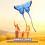 Kite Colorato Con Code Lunghe, Include 100M, Per Spiaggia 11