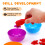 Set Giocattoli Animali Conteggio Bambini 8