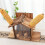 Wooden Squirrels Food Container Screw Fixed Lid Double Access 2