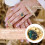Finger Watch Mini Relógio Com Numerais Para Mulheres 9