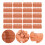 20 Pcs Miniatura De Simulado Para DIY 5