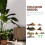 10 Unidades De Decoração Paisagem Com 10