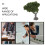 Micro Landscape Model Trees: Árvore Miniatura Para Paisagismo 8