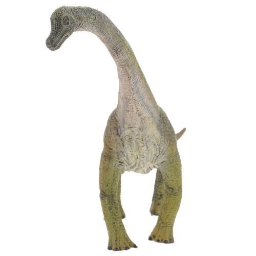 De Brachiosaurus Plástico Para Crianças