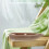 De Madeira Natural Para Decoração E Artesanato 5
