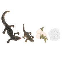 Conjunto Ciclo De Animal Material Educação Infantil