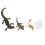 Conjunto Ciclo De Animal Material Educação Infantil 1