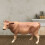 Dairy Cow Model Leksak Djurmodell För Nya Barn 3