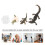Conjunto Ciclo De Animal Material Educação Infantil 3