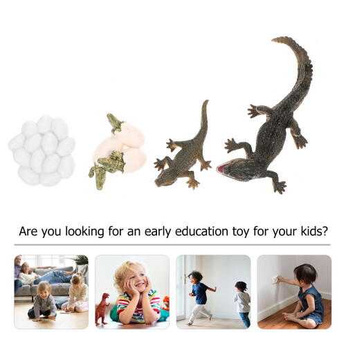Conjunto Ciclo De Animal Material Educação Infantil 2
