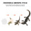 Conjunto Ciclo De Animal Material Educação Infantil 11