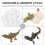 Conjunto Ciclo De Animal Material Educação Infantil 10