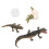 Conjunto Ciclo De Animal Material Educação Infantil 7