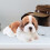 Simulation Hund Plush Figur Karikatyr Fylld 9