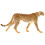 5Pcs Leopardefiguriner Plast Modell Barn Leksak 10