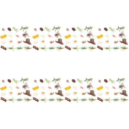 32 Sets Insektenmodell Entwicklung Mini 1