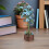 1 Conjunto 3D Flor -Cabeça Hidrangeia Bonsai 7
