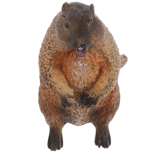 Standing Groundhog Model Kids Cognition Toy Realistic Desktop Decor