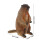 Standing Groundhog Model Kids Cognition Toy Realistic Desktop Decor 3