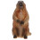Standing Groundhog Model Kids Cognition Toy Realistic Desktop Decor 9