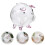Piggy Bank De Borossilicato Transparente Para 5