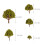 20 Stuks Model Landschap 3 Cm - 8 Cm Groen 2