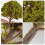 20 Stuks Model Landschap 3 Cm - 8 Cm Groen 10