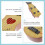 Children Small Imitated Ukulele Mini Guitar 44cm Light Brown 9