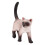 Plastic Siamese Cat Model Educational Cognitive Toy For Kids 5