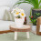 2 Unidades Miniatura Vaso Para De Verde 11