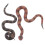 2Pcs De Cobra De Borracha Para E Halloween 1