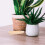 De De Madeira Diy Para Decoração De Escritório 5