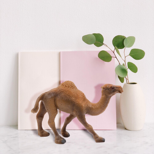 4St Kamelfigur Simulation Utbildning Desktop Khaki 2