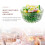 5 Unidades Miniatura Comida Salada, Brinquedo 8